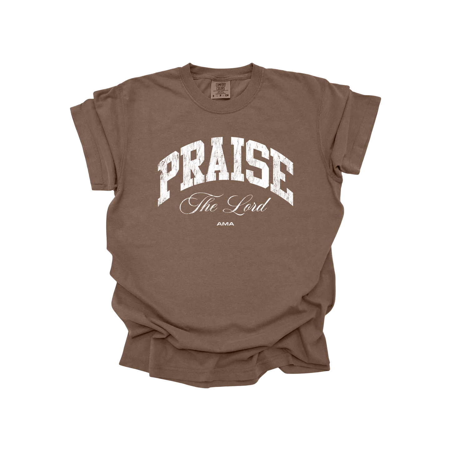 Praise The Lord Christian T-Shirt – Worship Faith Graphic Tee