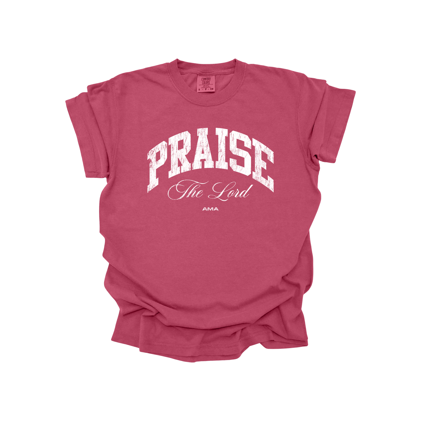 Praise The Lord Christian T-Shirt – Worship Faith Graphic Tee