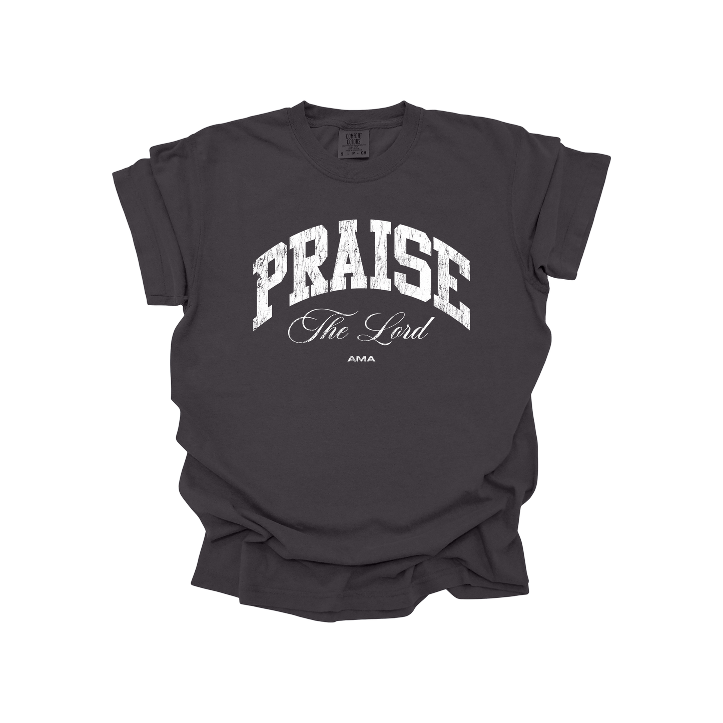 Praise The Lord Christian T-Shirt – Worship Faith Graphic Tee