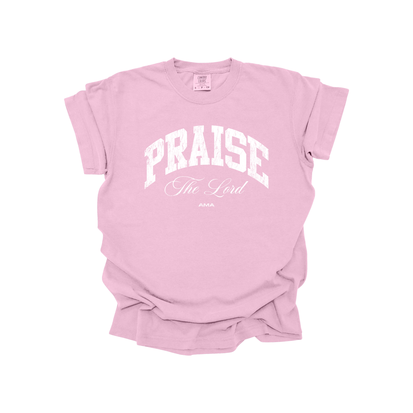 Praise The Lord Christian T-Shirt – Worship Faith Graphic Tee